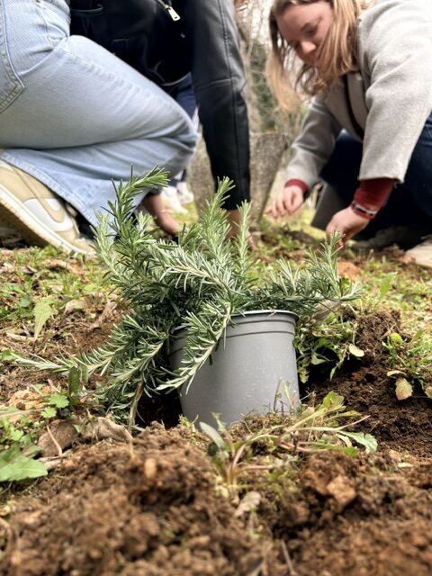 Zgrada Veleučilišta Marko Marulić u Kninu